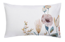 Load image into Gallery viewer, Oceania Pillowcases Pair
